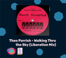 تک آهنگ Theo Parrish - Walking Thru the Sky (1998)