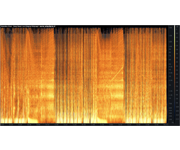 Spectrogram 3